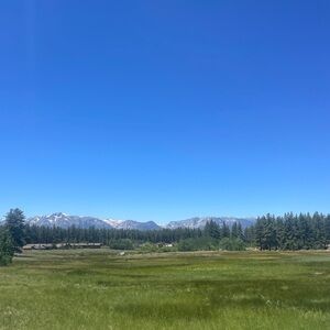 Meet your Posher, Kanika